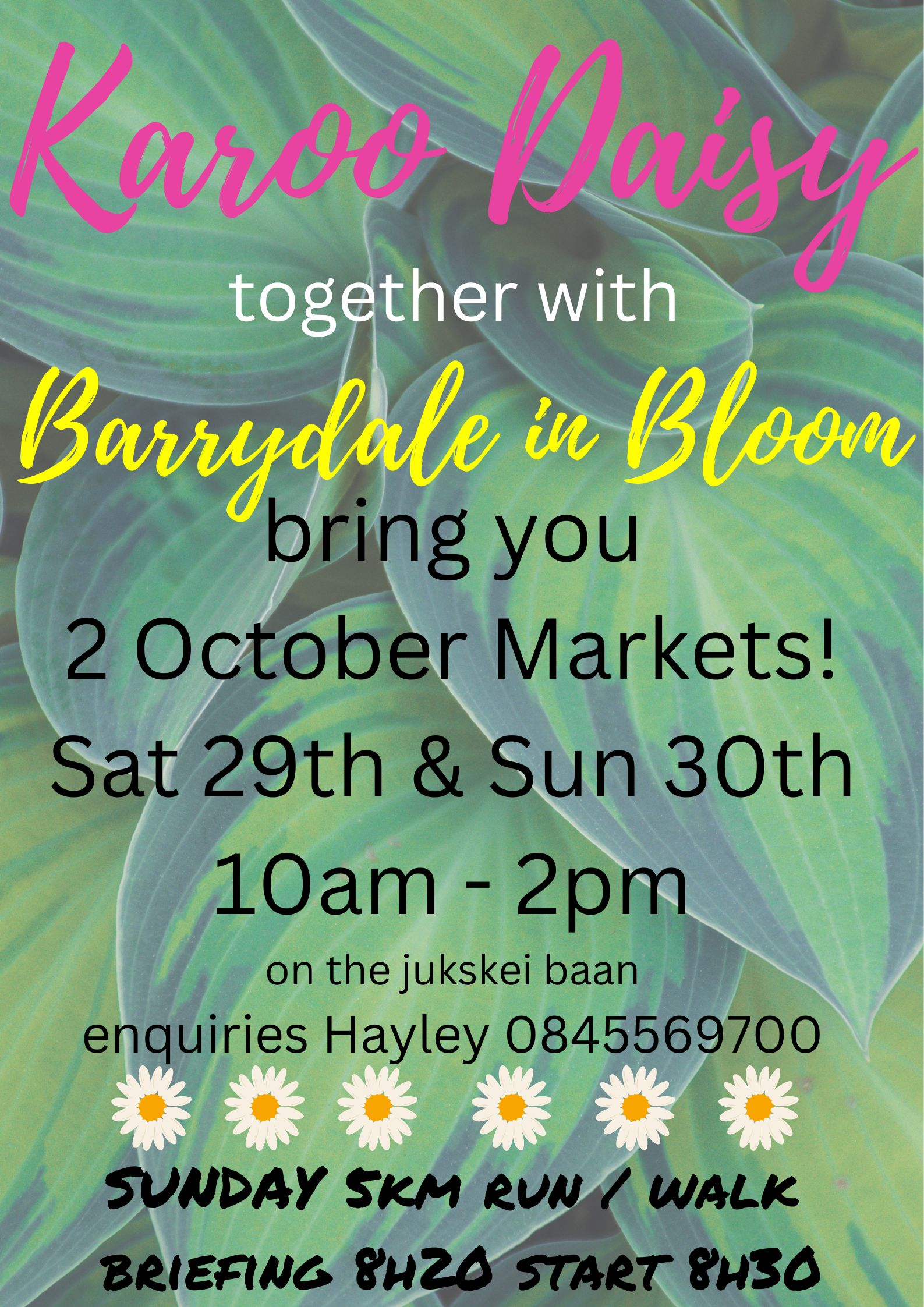This month Karoo Daisy Restaurant in Barrydale brings you TWO markets to celebrate the arrival of warmer weather. 
Saturday 29th - support the Barrydale in Bloom weekend event. You are invited to visit our lovely Karoo town and wander through selected gardens which have kindly been opened up for your viewing pleasure. 
Karoo Daisy Restaurant's garden will be on the list of those which will charm guests.
10% of this market's sales will de donated to KAPS (Karoo Animal Protection Services) We Thank all our Traders for their generosity!
Sunday 30th - Karoo Daisy's regular last Sunday of every month market takes place.
SEE YOU THERE!