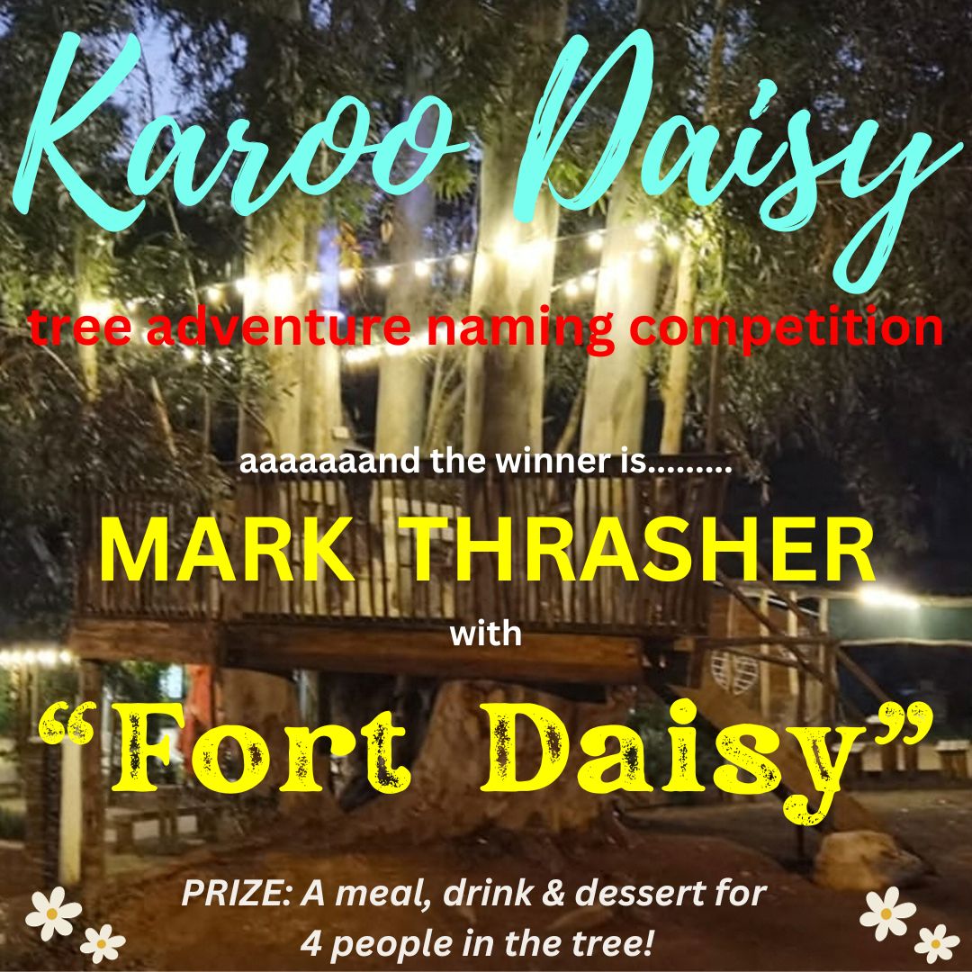 Hurry to experience our new offering, FORT DAISY! 
A beautifully crafted tree deck and adventure - skillfully created and built by Thomas -  for both kids & adults.
Great to hire out for your child's special birthday occasion, romantic moment with your beau, or a fun time out with friends and family.
Can accommodate a large group of either adults or children.
